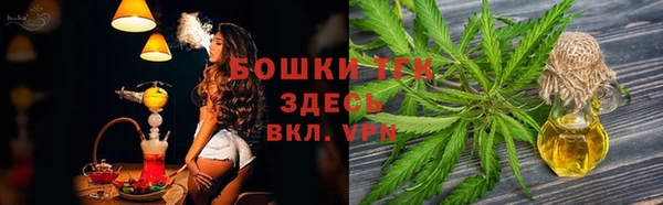 хмурый Аркадак