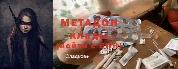 хмурый Аркадак
