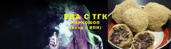 хмурый Аркадак