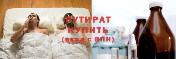 хмурый Аркадак