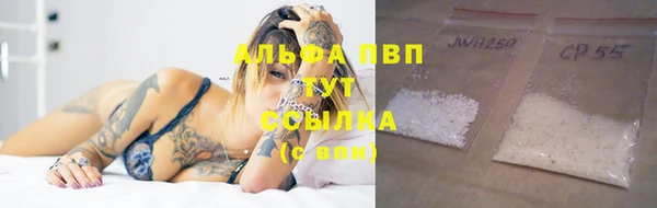 хмурый Аркадак
