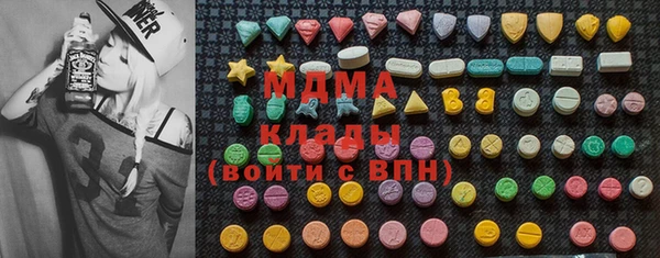 хмурый Аркадак