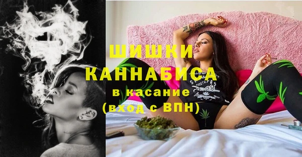 хмурый Аркадак