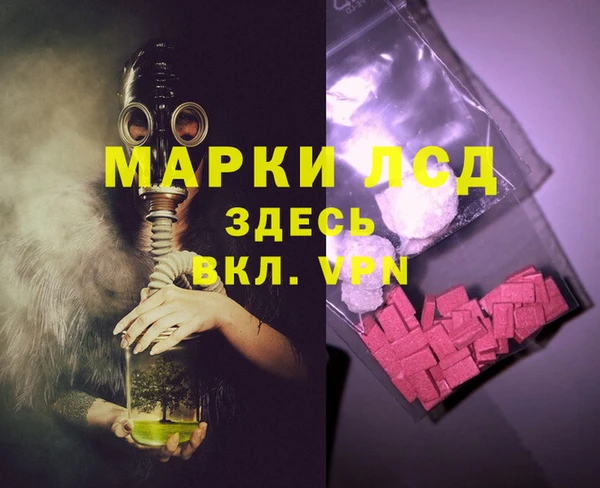 хмурый Аркадак