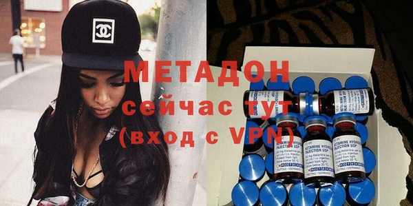 хмурый Аркадак