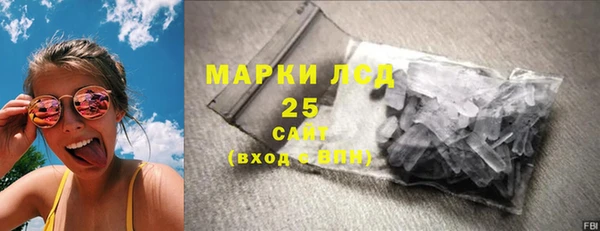 хмурый Аркадак