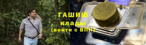 хмурый Аркадак